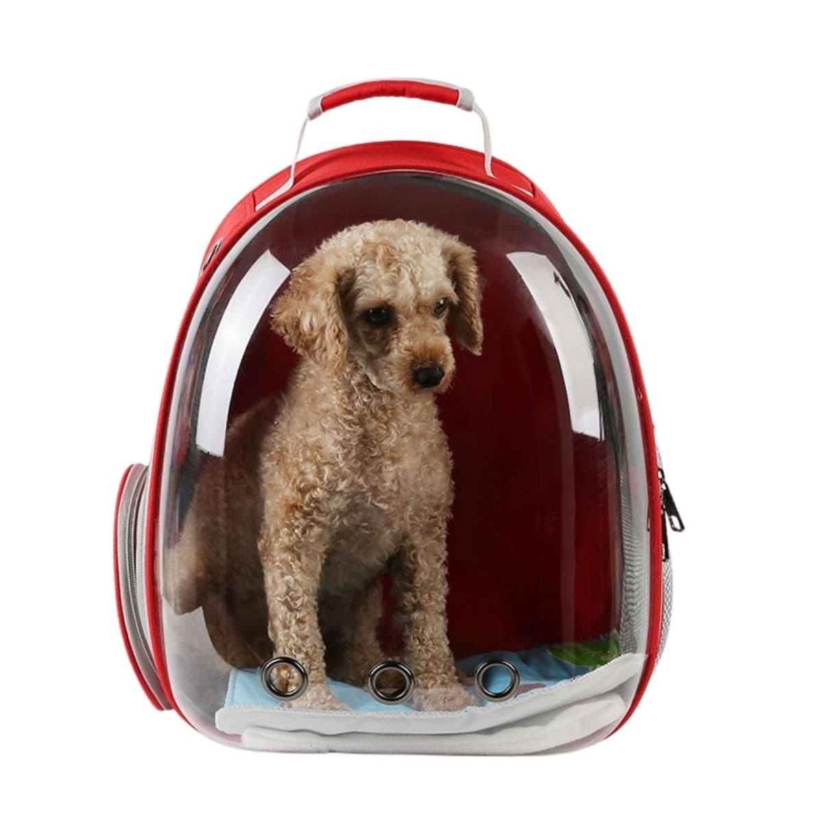 Pet Carrier Backpack view 2