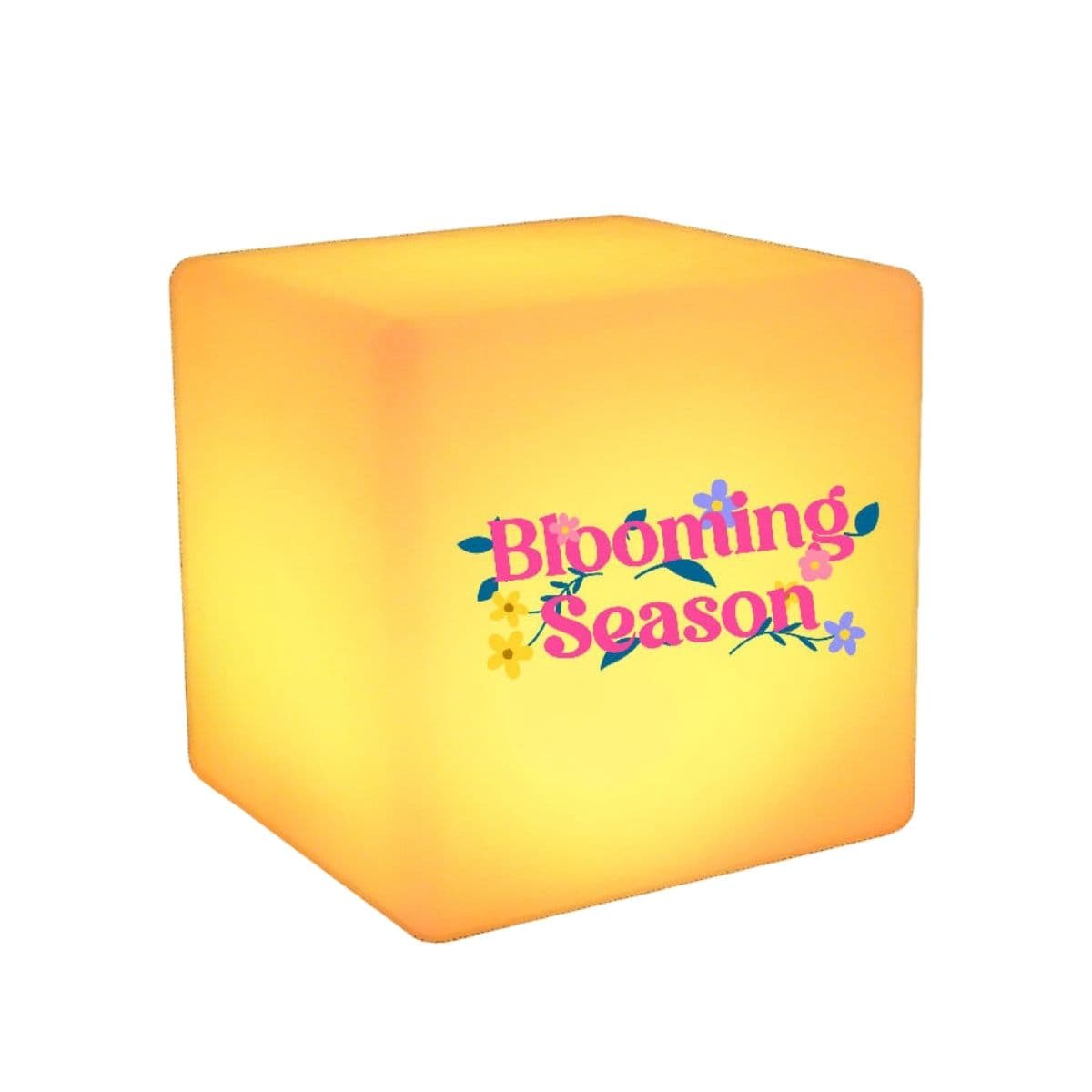 Light-Up LED Cube view 2