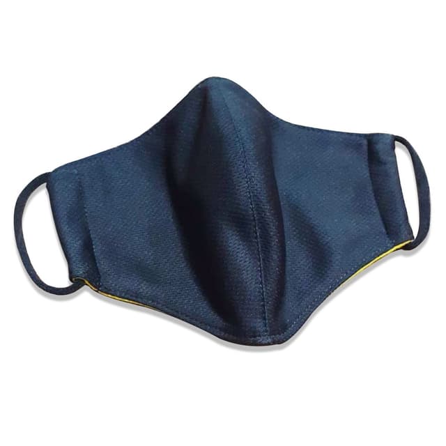 2ply Dri-Fit Mask