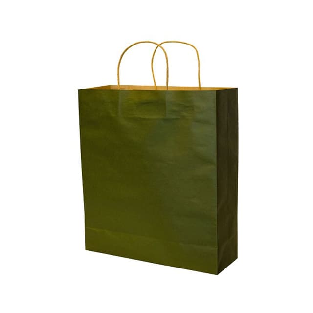 Handy Craft Paper Bag