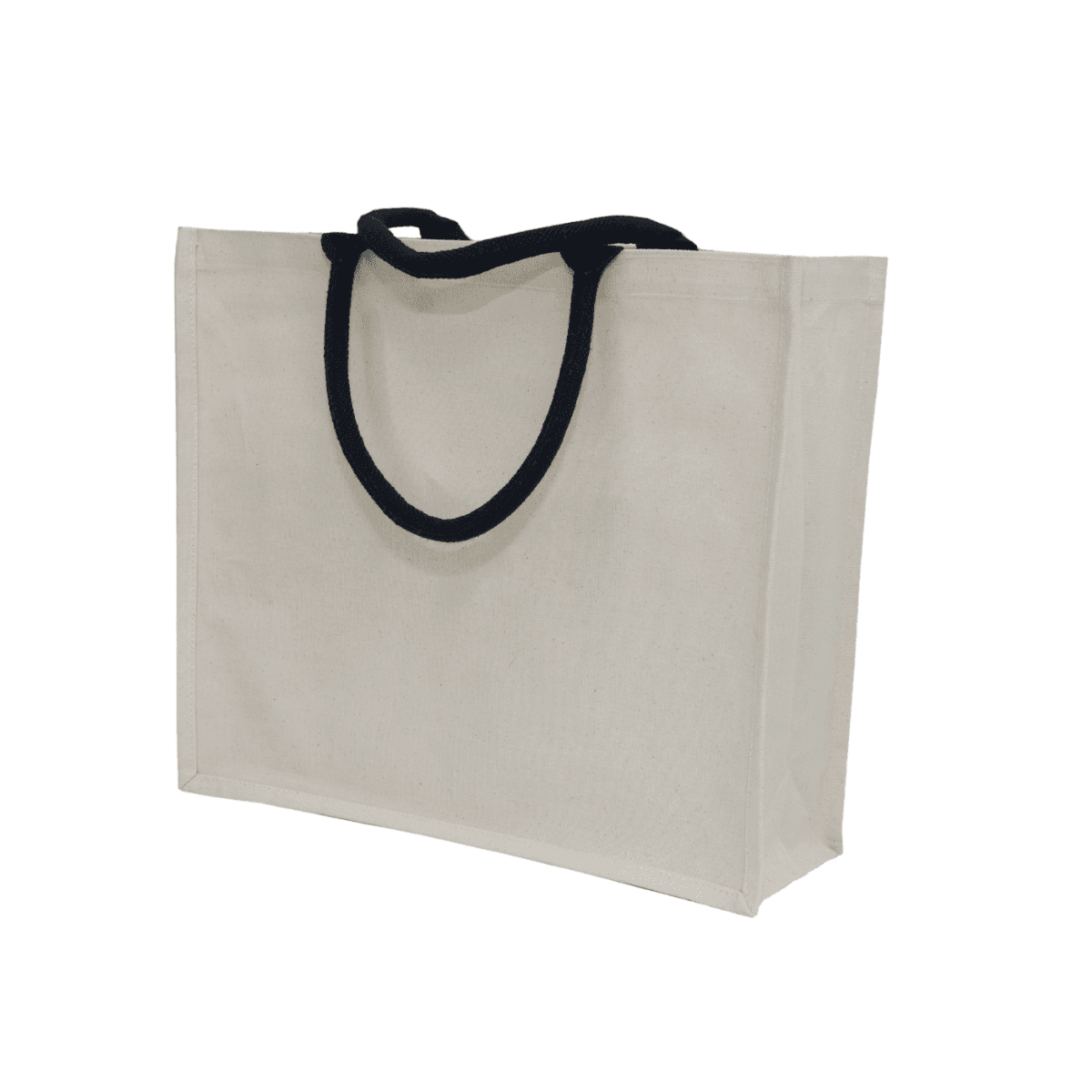 EcoChic Laminated Canvas Bag