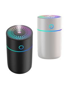 Mini Portable Humidifier