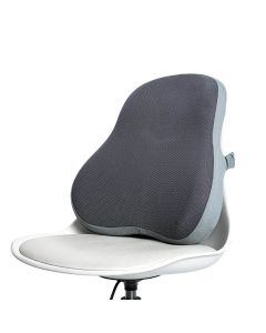 Memory Foam Back Pillow