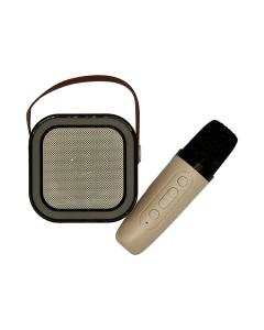 Mini USB Speaker and Wireless Microphone
